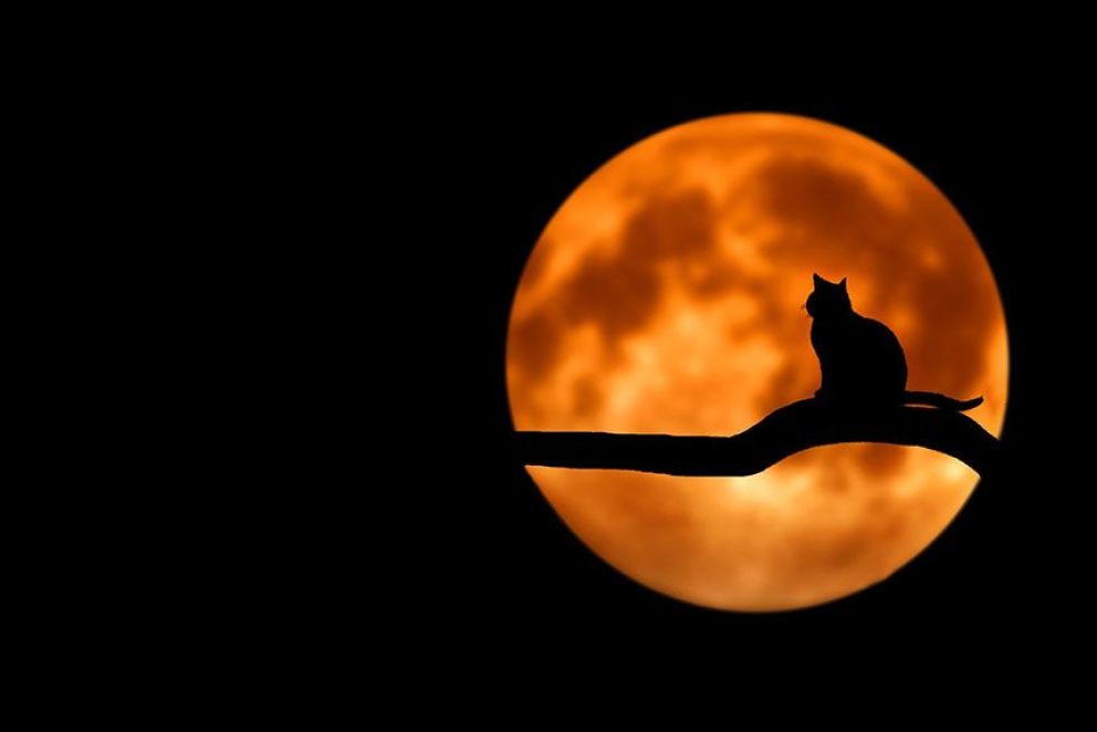 Luna llena en Géminis: Perspectivas de una mente nueva