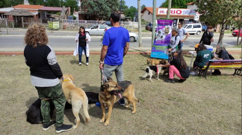 Se castraron más de 2300 mascotas durante 2022