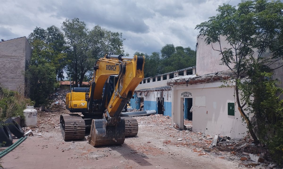 Invasión de gatos en el centro de Merlo por la demolición de una vieja escuela