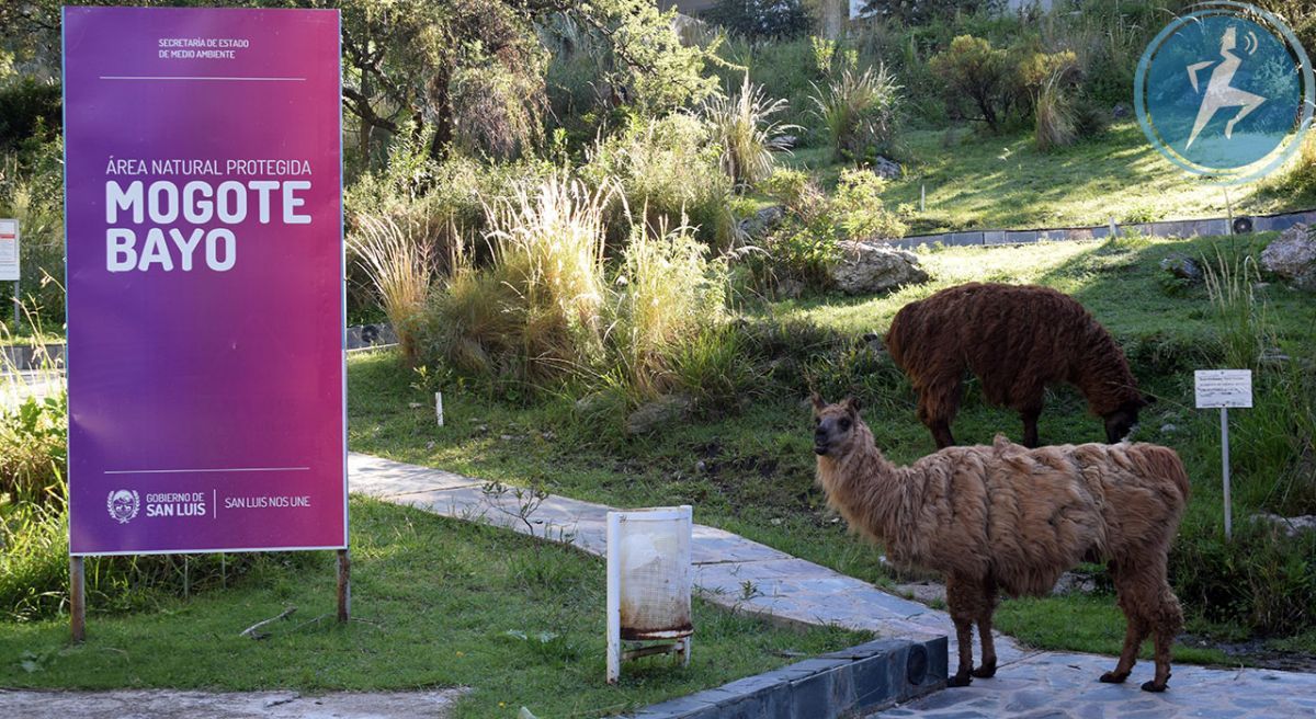 Nuevos horarios para visitar y recorrer las Áreas Naturales Protegidas durante el verano