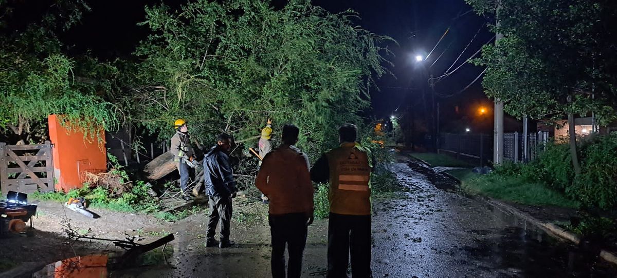 Fuerte tormenta en la Villa de Merlo causó caída de árboles y postes de luz