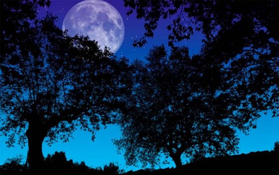 Luna de Fresa 2023: cuándo y desde dónde se podrá ver