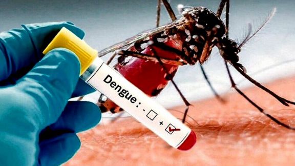 ANMAT aprobó el uso de una vacuna contra el dengue